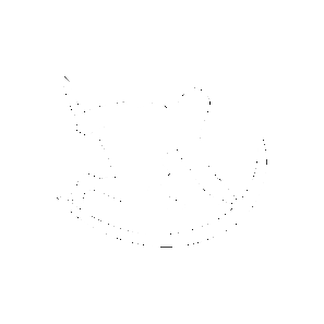 Trox